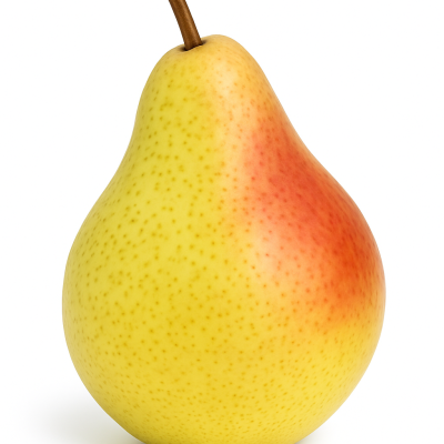 049a7ab8-501e-4e5e-b025-0f468c2b67ea