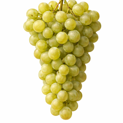 0730148a-6fbb-45be-b691-adab9ee2cc8e-3