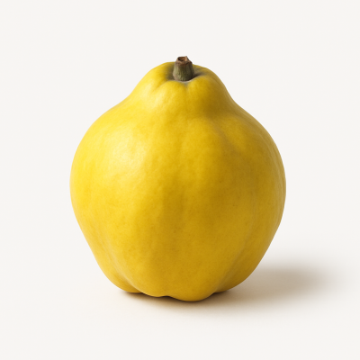 19ffe7c1-aa2b-4c9b-9a28-b3a2d5bcc0b0