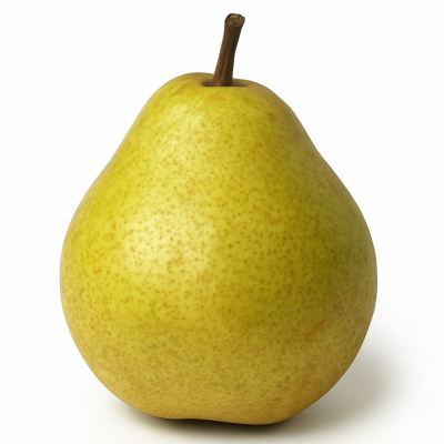 1c27a24d-4e80-42b3-8ec5-420bdfa85724