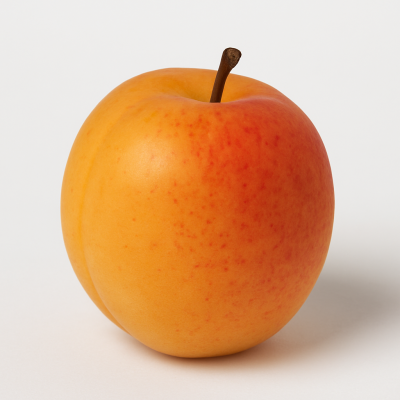 1d07f662-185b-4c69-af0e-3407a22a14a9