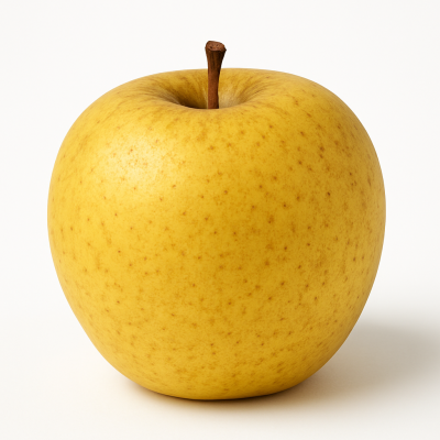 3367df3f-2d24-4e0c-9333-85d5e1d93bb1