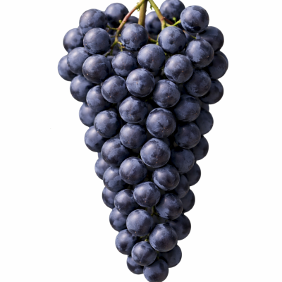 873daa94-2cb8-4440-95da-778a8314ca4a-2