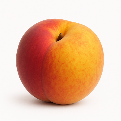 8d960afd-de29-49eb-81ff-cffa2fbc45da