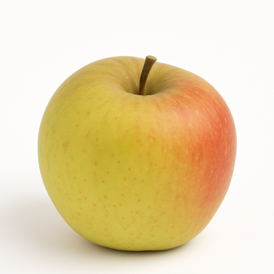 94dc1706-fc8b-40f4-8cf3-8d4e5fa3f242