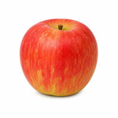 a854524a-788e-4173-8743-74e5247966cb