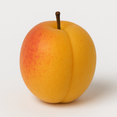 ad1f28a2-61ae-4633-83f3-372dc48689f6