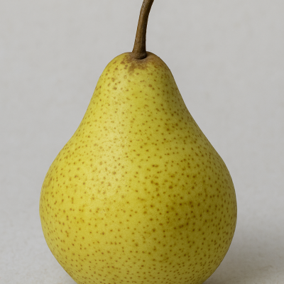 b0571def-a167-424a-97dd-4359221b9055