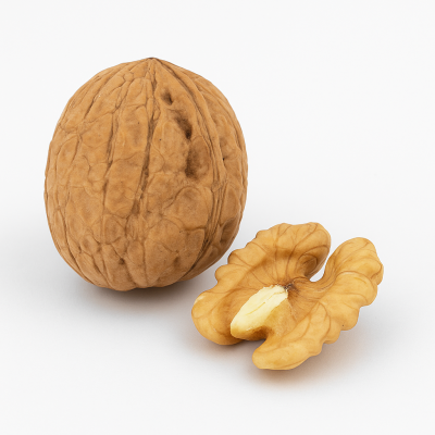 c0039369-58d1-48a8-8964-042ebef1d2d5-2