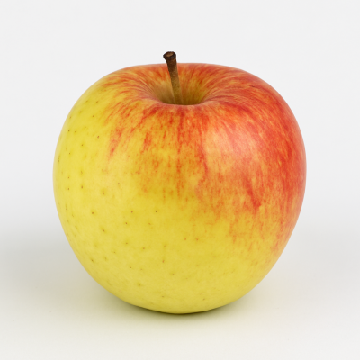 c8487834-ddda-466c-b045-e2fd99e5e4fd