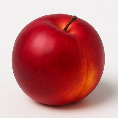 d90f1432-6840-4fe1-ae43-79c3d7ad01b8